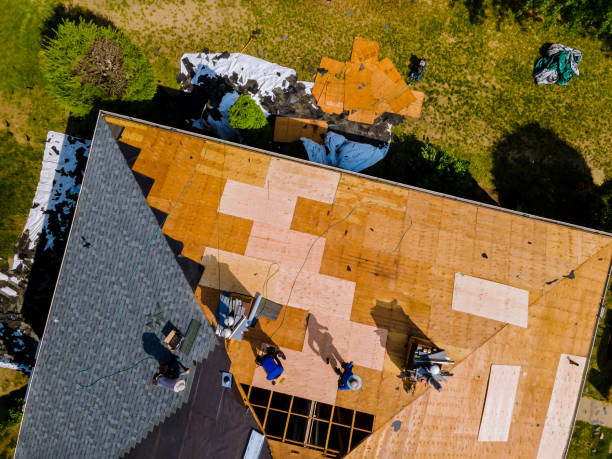 Roof Gutter Cleaning in Blackstone, VA
