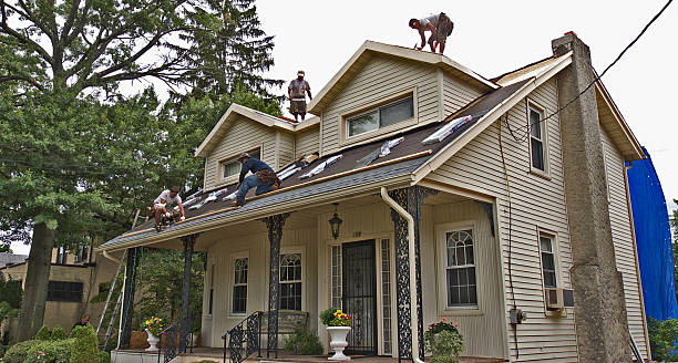 Best Roof Gutter Cleaning  in Blackstone, VA