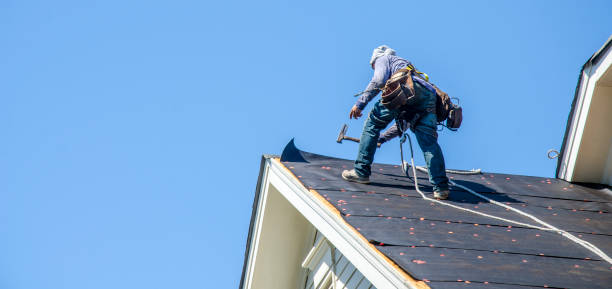 Sealant for Roof in Blackstone, VA